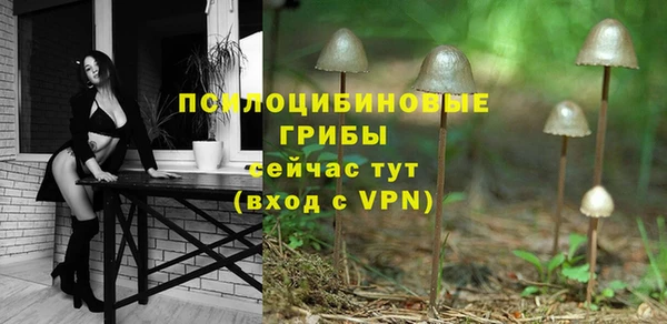 амфетамин Лабытнанги