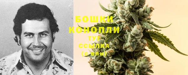mdma Лагань