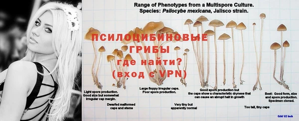 mdma Лагань